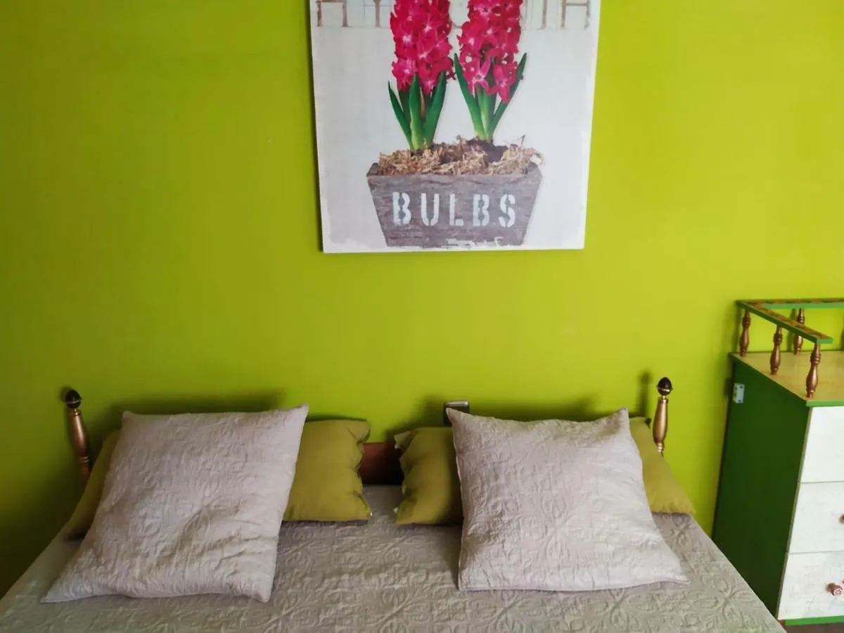 Casa Eddy Hotell Puerto de la Cruz  Camping Puerto de la Cruz (Tenerife)